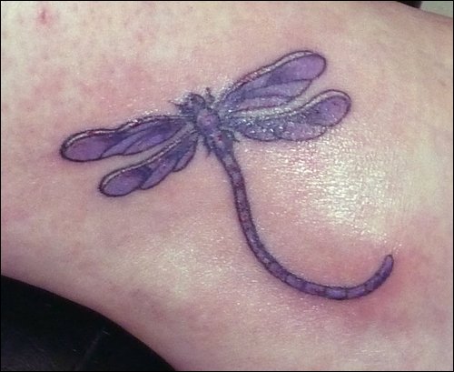 Pictures Of Dragonfly Tattoos For Women