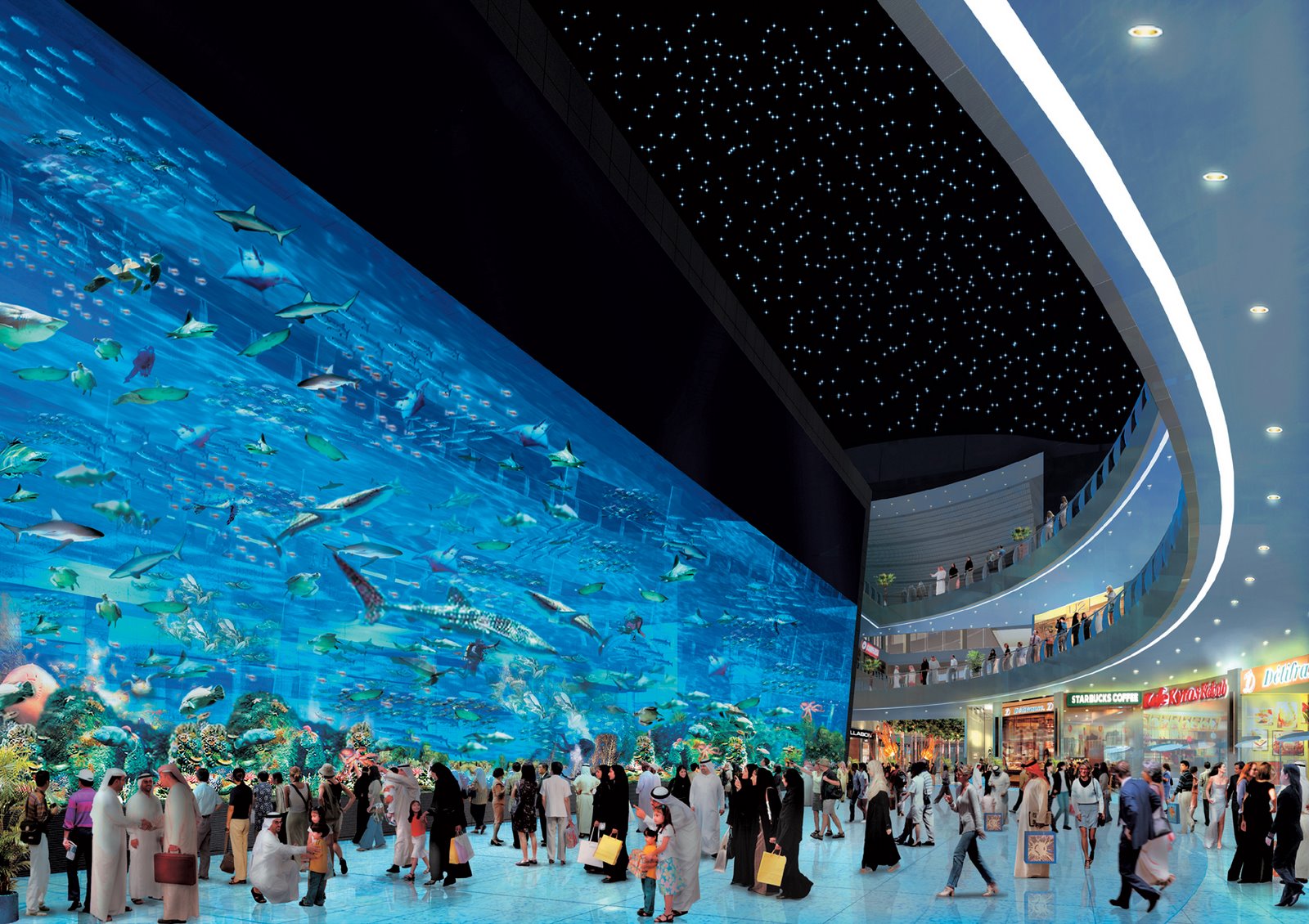 Pictures Of Dubai Mall Aquarium