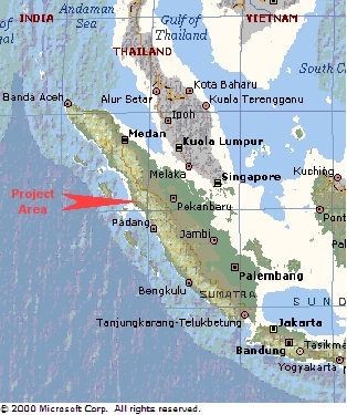 Pictures Of Sumatra