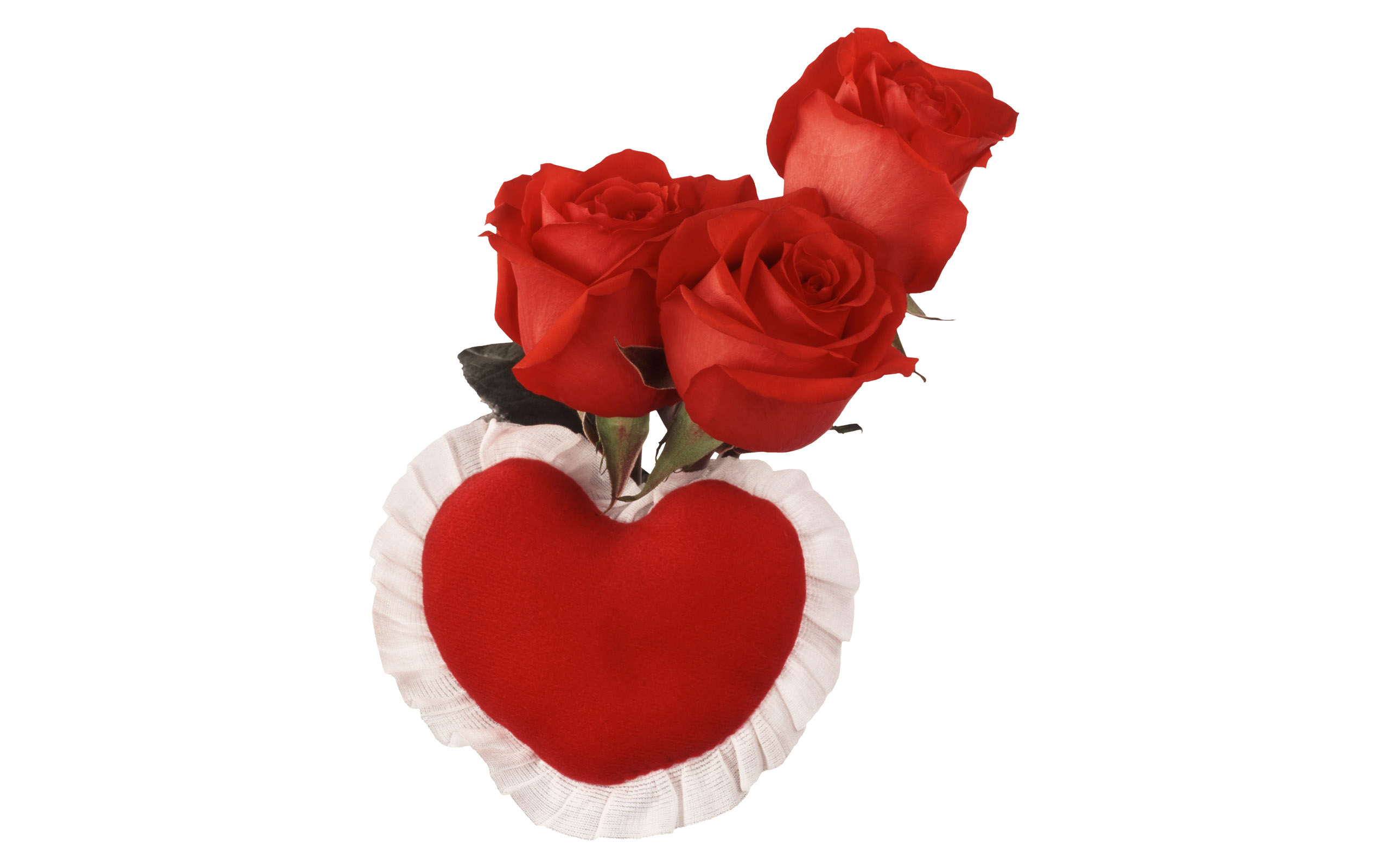 Rose Desktop Wallpaper Free Download