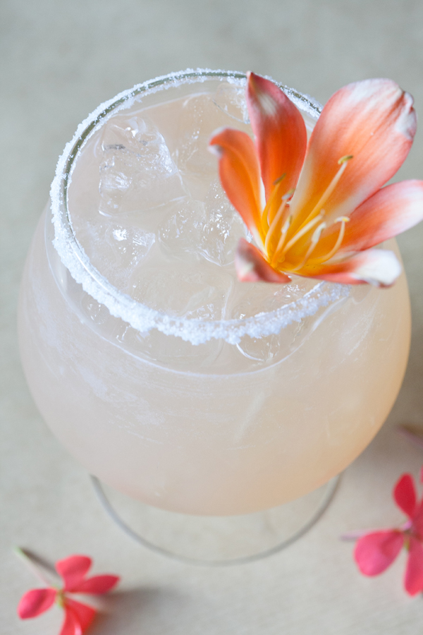 Skyy Dragon Fruit Recipes