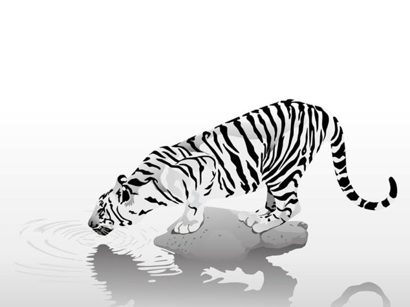 Tiger And Dragon Tattoo Meaning
