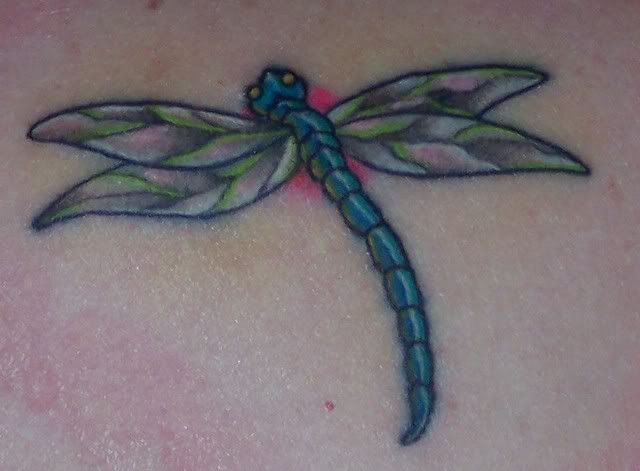 Tribal Dragonfly Tattoo Pictures