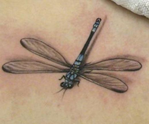 Tribal Dragonfly Tattoos For Women