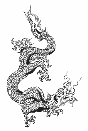 Welsh Dragon Tattoos For Men