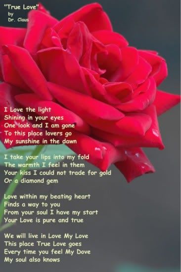 What Is True Love Poem