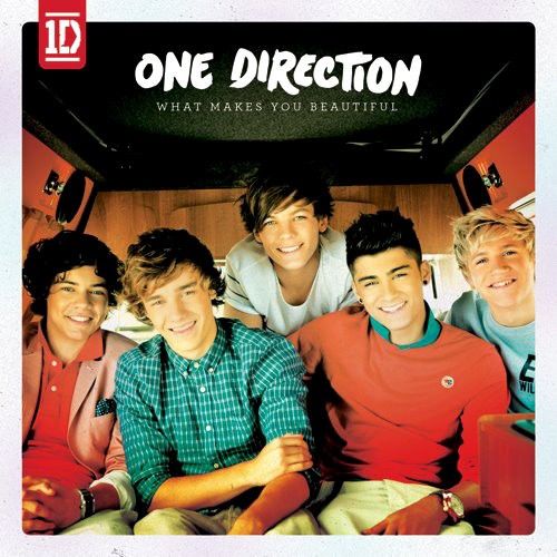 What Makes You Beautiful Cover Glee