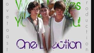 What Makes You Beautiful One Direction Lyrics On Screen